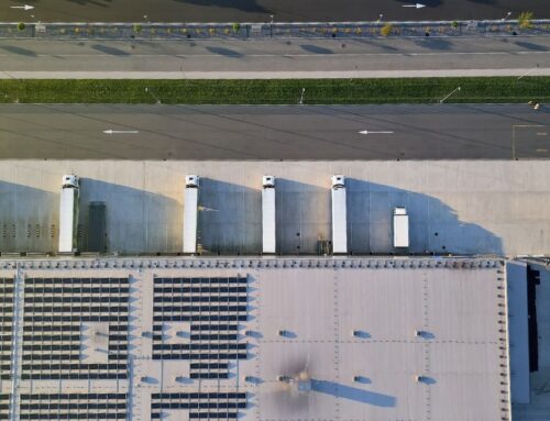 The Target-Rich Environment of the West Valley